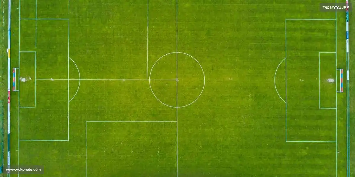 <strong>dpzx德扑之星</strong>点燃运动激情，释放无限活力🏃♂️